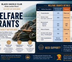 Welfare Grants