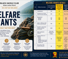 Welfare Grants